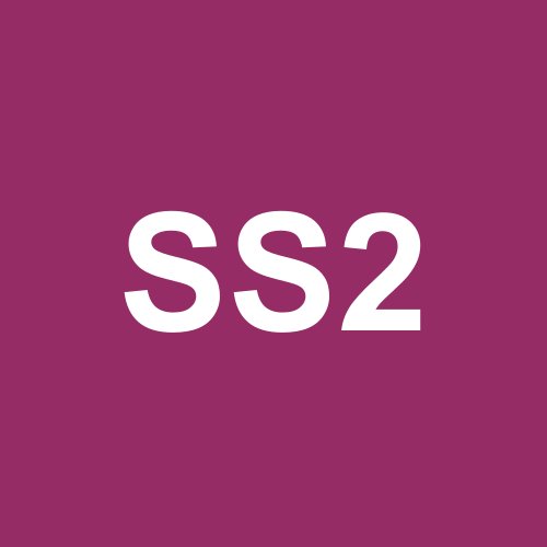 S Sport 2
