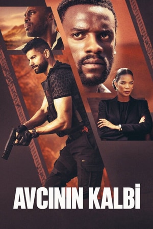 Bölüm 1