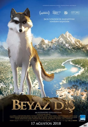 Bölüm 4