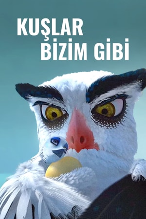 Bölüm 4