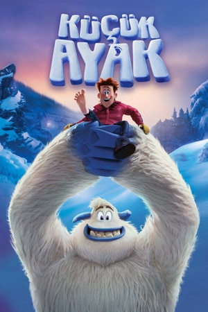 Bölüm 8