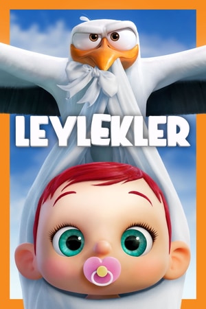 Bölüm 4