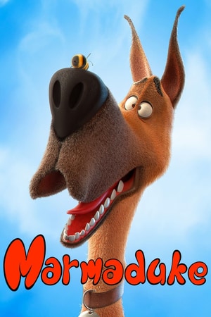 Bölüm 9
