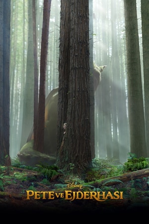 Bölüm 3