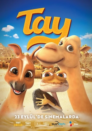 Bölüm 8