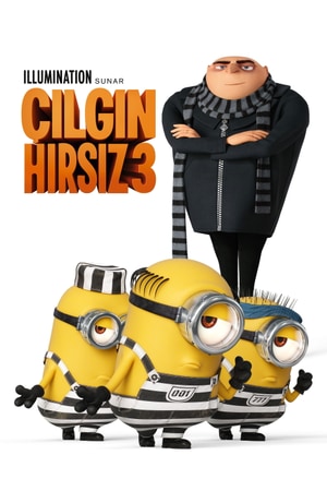 Bölüm 7