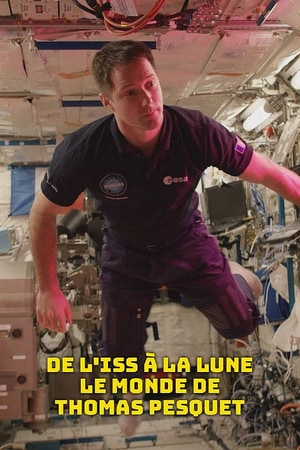 Bölüm 2