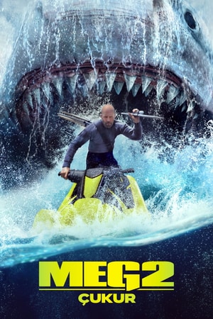 Bölüm 8