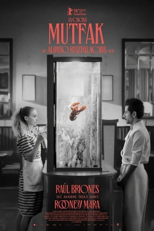 Bölüm 3