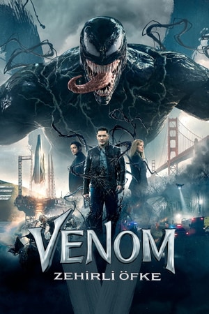 Bölüm 8