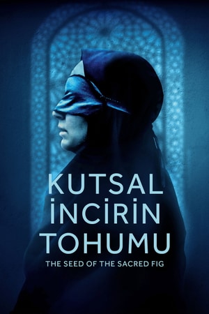 Bölüm 8