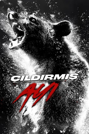 Bölüm 4