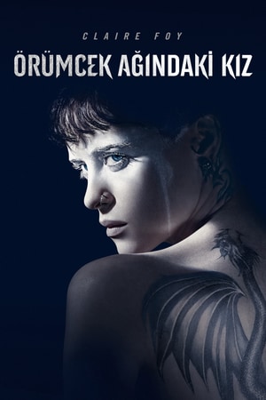 Bölüm 2