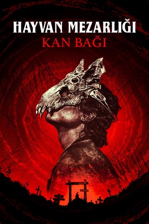 Bölüm 7