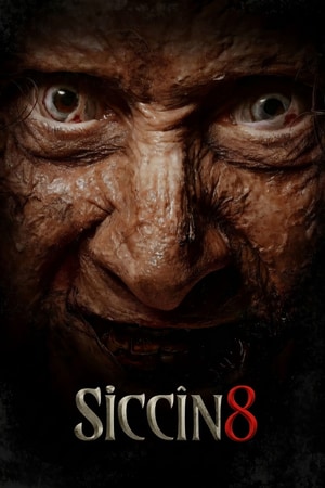 Bölüm 6