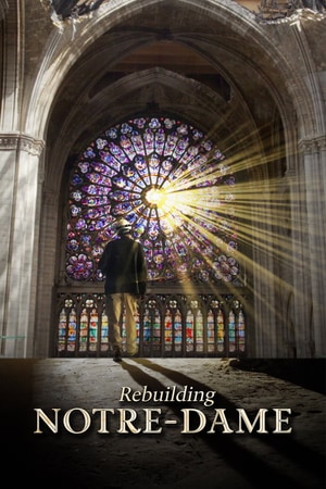 Notre Dame: Küllerinden Doğan Tarih